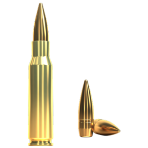 308 Winchester, FMJ 9,55g, Sellier&Bellot 308 Winchester, FMJ 9,55g, Sellier&Bellot