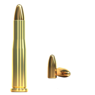 22 Hornet, FMJ 2,9g, Sellier&Bellot 22 Hornet, FMJ 2,9g, Sellier&Bellot