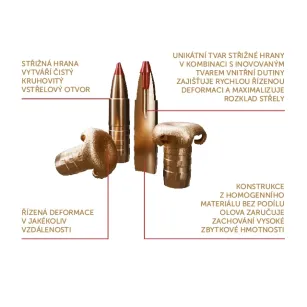30-06 Springfield, TXRG Cutting Edge 11,7g, Sellier&Bellot
