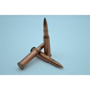 7,62x54R, FMJ 9,6g, Perun Arms