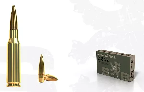 5,45x39 FMJ  3,9g Sellier&Bellot