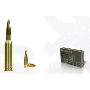 5,45x39 FMJ  3,9g Sellier&Bellot