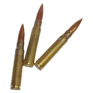 8x57JS, FMJ, IRON WORKS