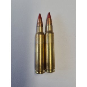 223 Remington svítící