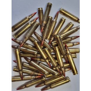 223 Remington svítící