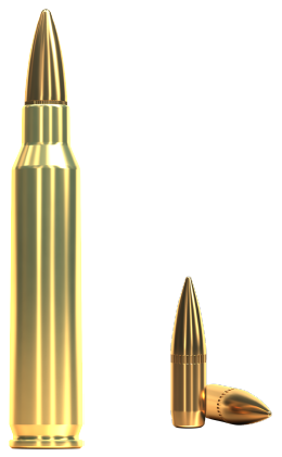 223 Remington, FMJ 4,5g, Sellier&Bellot
